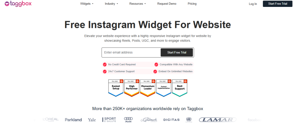 top instagram widget - Taggbox